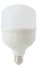 Led Bulb 40w 6400k-EcoLight